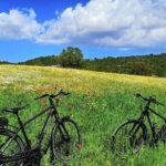 GPS self guide Alberobello and Masseria + Mozzarella and Focaccia tastings by E-bike - What’s Included and What’s Not
