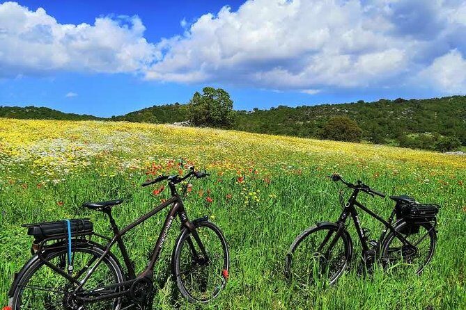 GPS self guide Alberobello and Masseria + Mozzarella and Focaccia tastings by E-bike - What’s Included and What’s Not