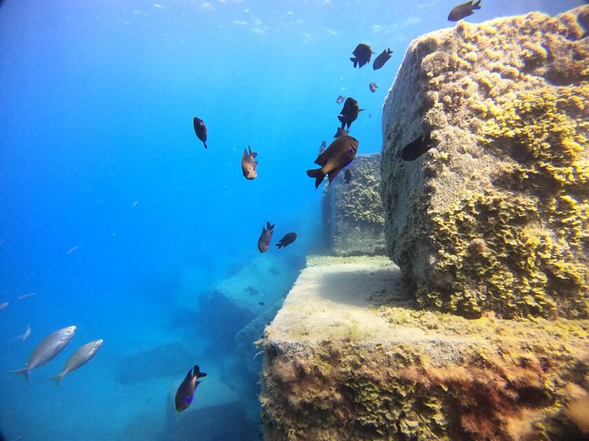 Gran Canaria: 3-Day Open Water Diver Course - Why This Course Delivers Value