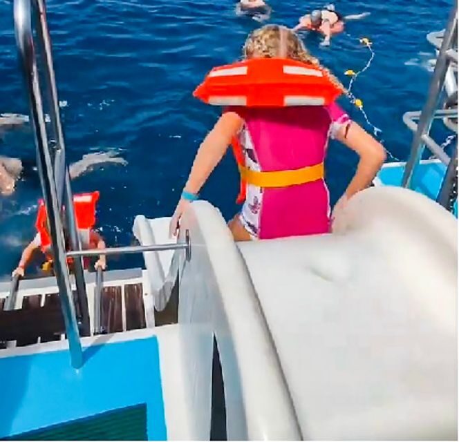 Gran Canaria: Catamaran Dolphin Watch Cruise with Snorkeling - Who Is This Tour Best For?