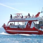 Gran Canaria: Dolphin and Whale Watching Cruise - Analyzing the Value