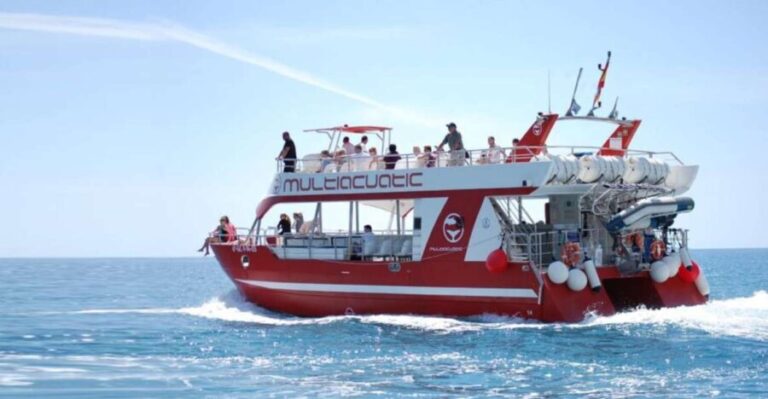 Gran Canaria: Dolphin and Whale Watching Cruise - Analyzing the Value