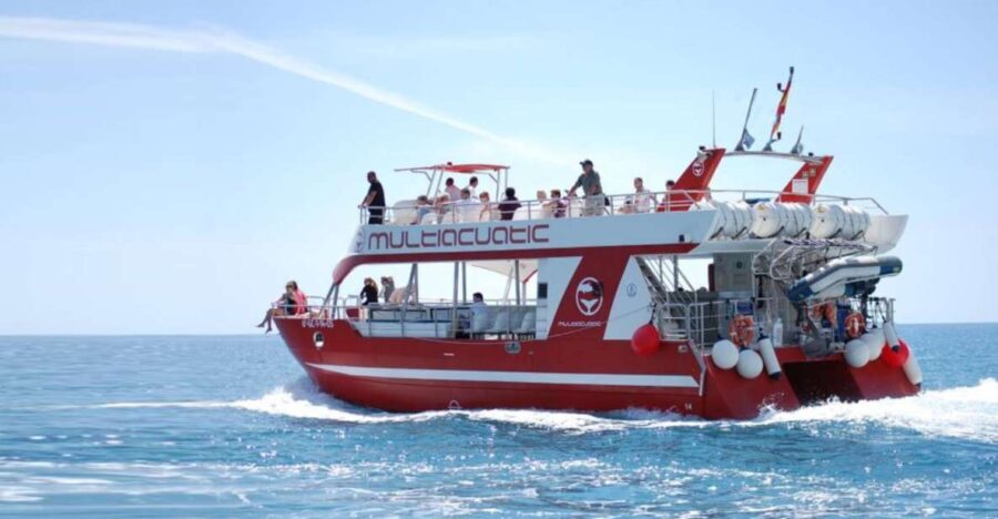 Gran Canaria: Dolphin and Whale Watching Cruise - Analyzing the Value