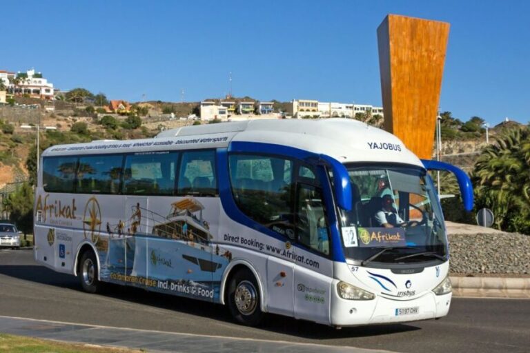 Gran Canaria: Fun Catamaran Cruise with Food and Drinks - Authentic Feedback from Reviewers