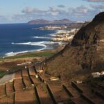 Gran Canaria: Grand Island Tour by Bus with Transfers - What Makes This Tour Stand Out?