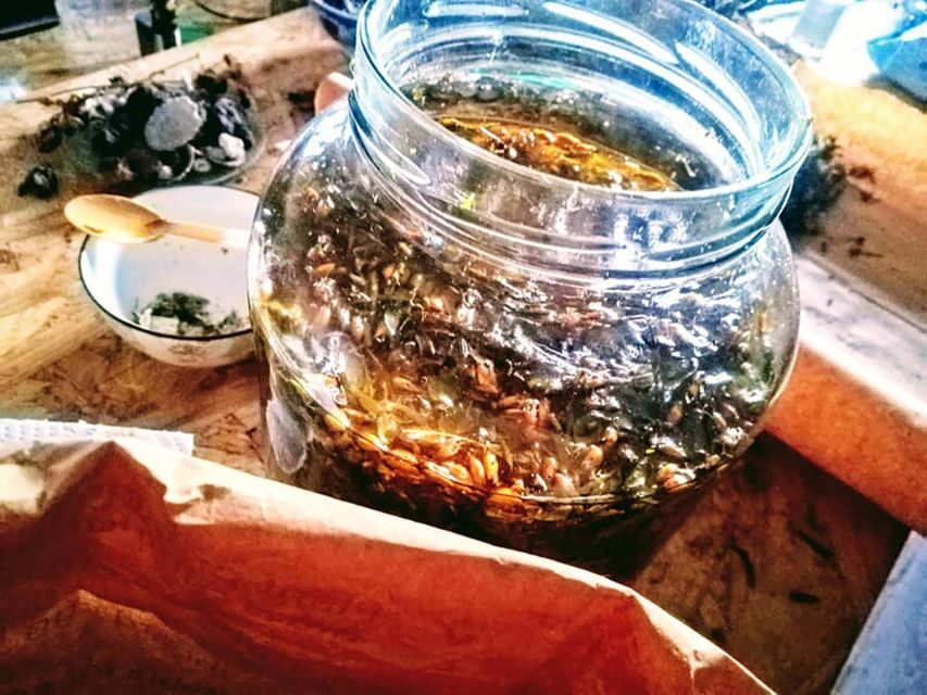 Gran Canaria: Green Witchcraft in the Magic Island - Who Will Love This Tour?