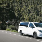 Gran Canaria: Island Highlights Tour with Optional Lunch - Practical Details and Value