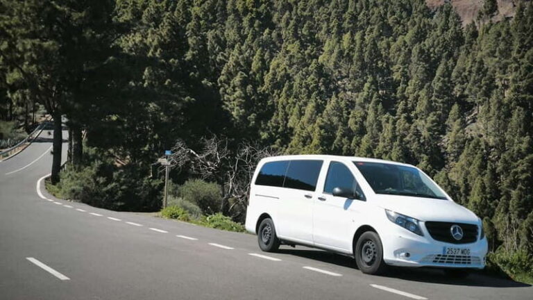 Gran Canaria: Island Highlights Tour with Optional Lunch - Practical Details and Value