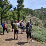 Gran Canaria: "Peaks of Gran Canaria" Hiking Tour - Who Will Love This Tour?