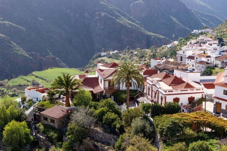 Gran Canaria: Private Guided Full-Day Tour - Who Should Consider This Tour?