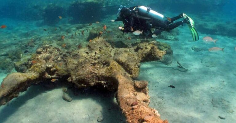 Gran Canaria Scuba Diving: 3-Day 6-Dive Package - Analyzing the Value