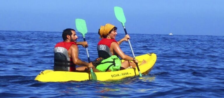 Gran Canaria: South Coast Guided Kayaking Trip - What’s Included and What To Bring