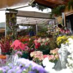 Gran Canaria: Traditional Markets, San Mateo & Teror - Analyzing the Value: Cost, Convenience & Authenticity