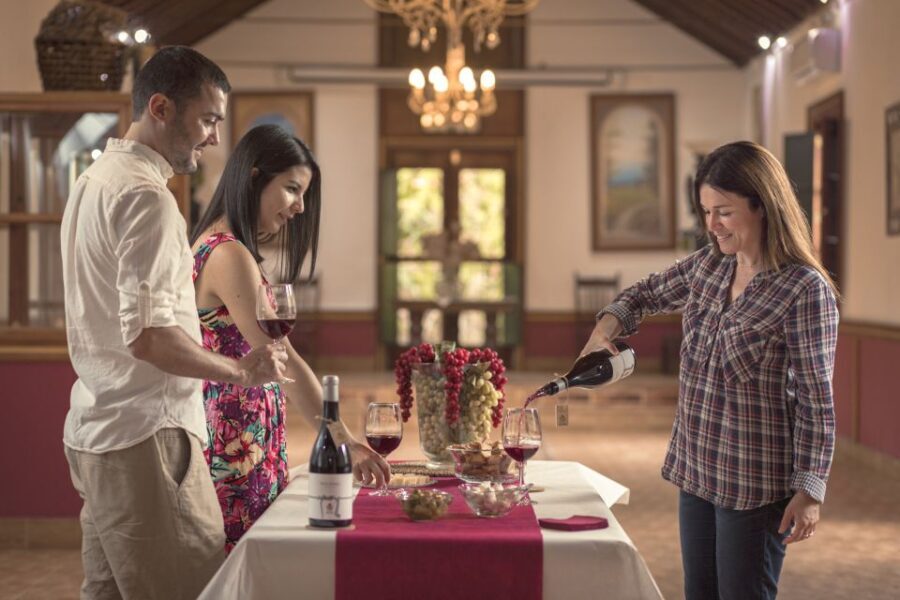 Gran Canaria: Winery Tour, Wine Museum, and Tasting - The Itinerary: What to Expect During Your Visit