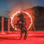 Gran Circus Maximus - Pricing and Value