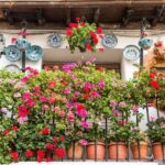 Granada: Albaicín and Sacromonte Walking Tour - A Detailed Breakdown of the Itinerary