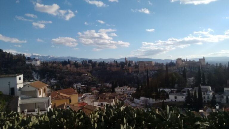 Granada: Albayzín and Sacromonte Private Tour - Final Thoughts