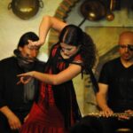 Granada: Alhambra Guided Tour and Flamenco Show - In-Depth Look at the Tour