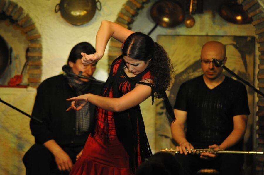 Granada: Alhambra Guided Tour and Flamenco Show - In-Depth Look at the Tour
