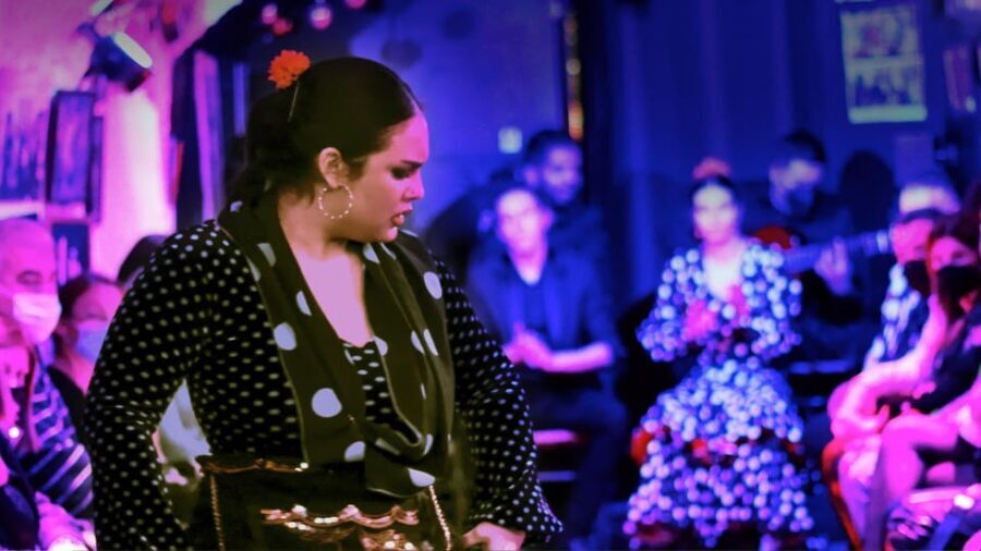 Granada: Flamenco Show at Cueva de la Rocío - Who Would Love This Experience?