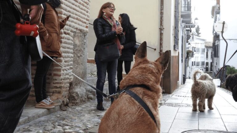 Granada: Guided Realejo Tour with Pets - Final Thoughts