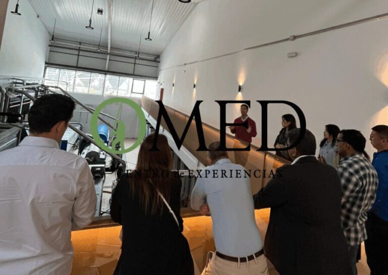 Granada in EVOO: Guided tour and unique sensorial tasting - Why This Tour Works Well