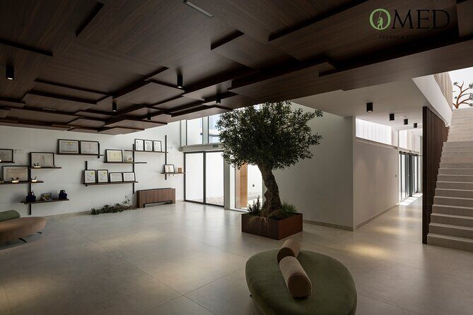 Granada in EVOO: Guided tour and unique sensorial tasting - The Sensory Tasting: Flavour and Views Collide