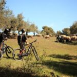 Granada: Nature, Wildlife and Authentic Villages E-bike Tour - Why This Tour Offers Great Value