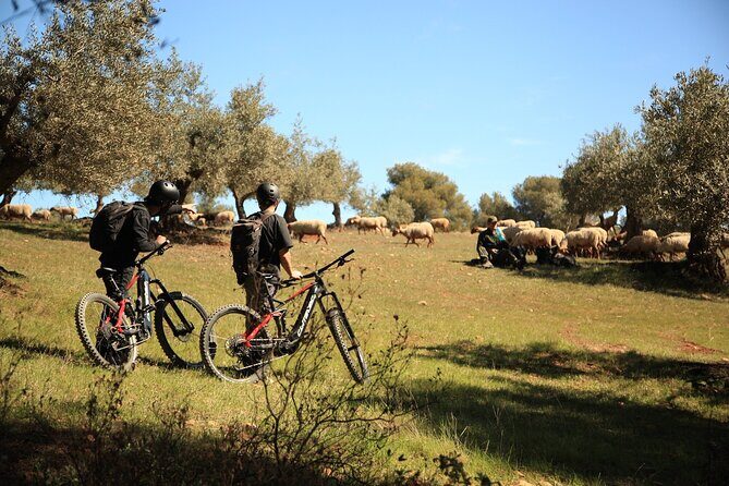Granada: Nature, Wildlife and Authentic Villages E-bike Tour - Why This Tour Offers Great Value