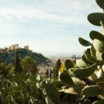 Granada: Sacromonte Private Tour - Who Is This Tour Best For?