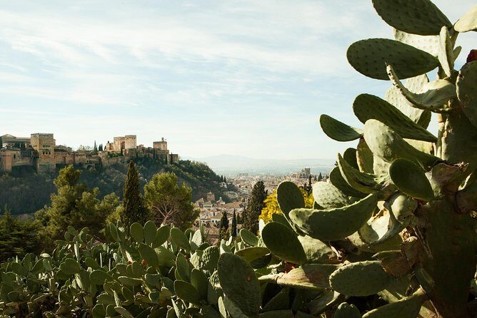 Granada: Sacromonte Private Tour - Who Is This Tour Best For?