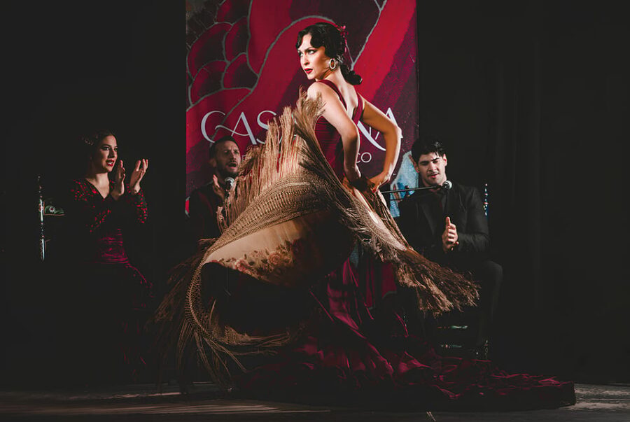 Granada: Traditional Flamenco Show at Tablao Casa Ana - The Value of Casa Ana’s Flamenco Experience