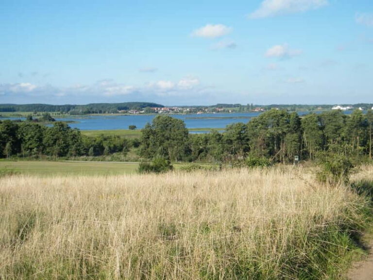 Grand country outing: a natural paradise between land and sea - Exploring Usedom’s Hinterland: What Makes This Tour Special