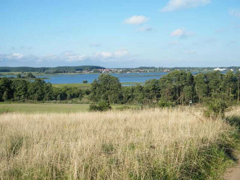 Grand country outing: a natural paradise between land and sea - Exploring Usedom’s Hinterland: What Makes This Tour Special