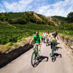 Grape Grazing: Wachau Valley Winery Biking Tour - What Makes This Tour Stand Out