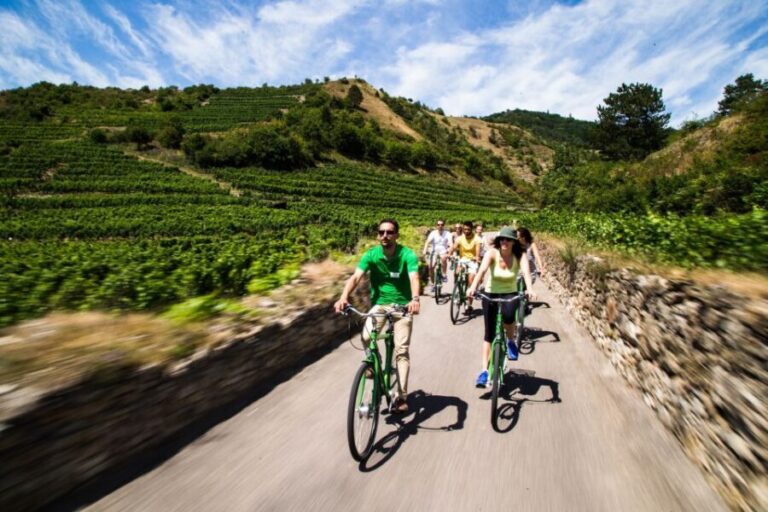Grape Grazing: Wachau Valley Winery Biking Tour - What Makes This Tour Stand Out