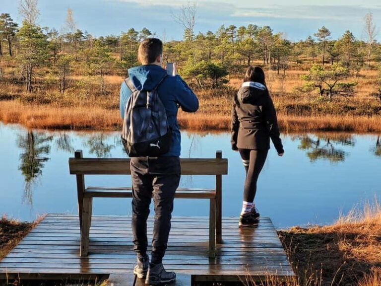 Great emeri Bog & Swamp Forest Hiking Adventure - A Detailed Look at the Kemeri National Park Tour