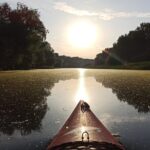 Great War Island Kayak Adventure - What You Can Expect from the Tour