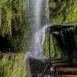 Green Cauldron - Who Is This Tour Best For?