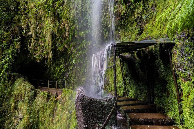 Green Cauldron - Who Is This Tour Best For?