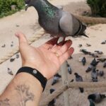 Green Full-Day Tour in Cappadocia - Who Should Consider This Tour?