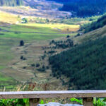 Greenock Ocean Terminal; Half-Day Tour to the West Highlands - Detailed Review of the Tour Experience