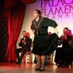 Grenada: Flamenco Palace, the best show in the center - Who Is This Tour Best For?