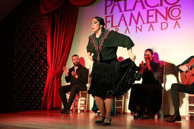 Grenada: Flamenco Palace, the best show in the center - Who Is This Tour Best For?