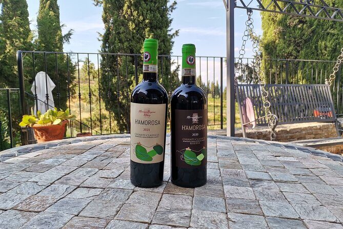 Greve in Chianti Wine Tasting and Winery Tour - Authentic Experiences & Authenticity