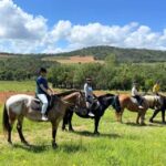 Grimaud: Horseback Riding & Wine Tasting in Maures Forest - The Details of the Experience