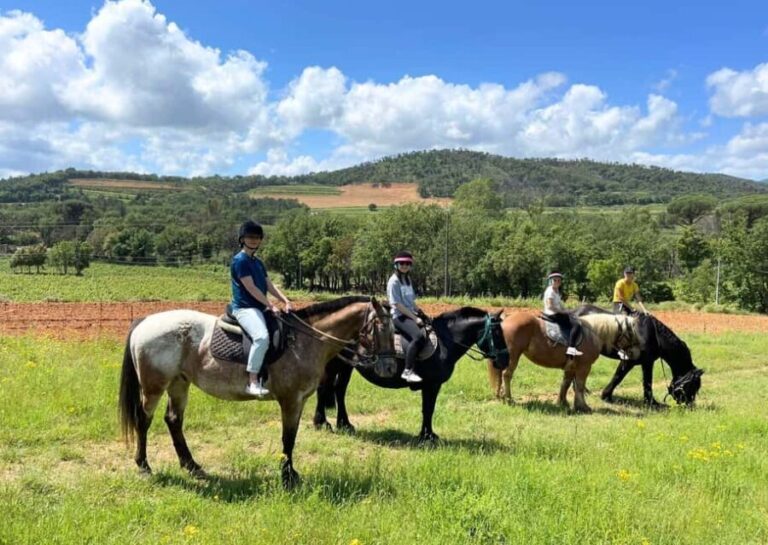 Grimaud: Horseback Riding & Wine Tasting in Maures Forest - The Details of the Experience