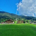 Grindelwald First (Top of Adventure) Ticket incl. Cliff Walk - Dining and Relaxation at Bergrestaurant First