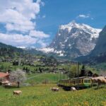 Grindelwald, Interlaken and Lauterbrunnen Day Trip from Lucerne - In-Depth Review of the Experience