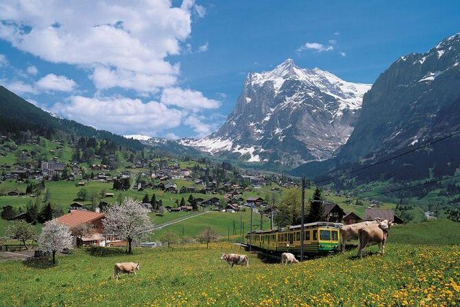 Grindelwald, Interlaken and Lauterbrunnen Day Trip from Lucerne - In-Depth Review of the Experience